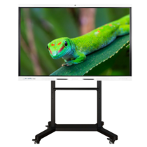 Интерактивный комплекс Geckotouch ​​​​​​​65RK - «globural.ru» - Междуреченск