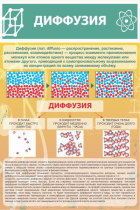 Стенд "Диффузия" - «globural.ru» - Междуреченск