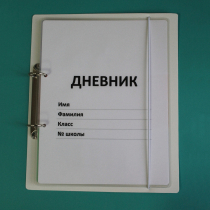 Дневник школьника (с полным набором карточек) - «globural.ru» - Междуреченск