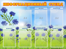 Стенд информационный с 7 карманами - «globural.ru» - Междуреченск