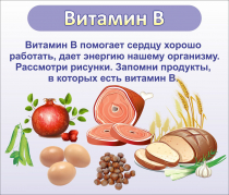 Стенд "Витамин В" - «globural.ru» - Междуреченск