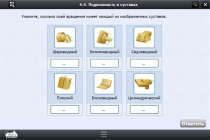 Интерактивные курсы. Биология 8 класс. Базовый  - «globural.ru» - Междуреченск