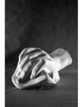 Кисть Давида - «globural.ru» - Междуреченск