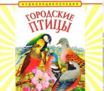 CD "Аудиоэнциклопедия. Городские птицы" - «globural.ru» - Междуреченск