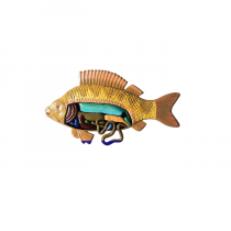 Модель барельефная "Внутреннее строение рыбы" - «globural.ru» - Междуреченск