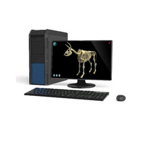 Макет масштабный «Скелет Коровы» Масштаб 1:2 - «globural.ru» - Междуреченск