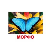 Карточки Домана "Бабочки" - «globural.ru» - Междуреченск