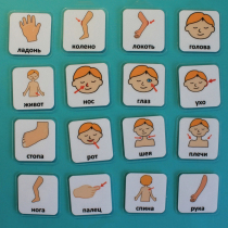 Набор карточек "Части тела" - «globural.ru» - Междуреченск