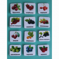 Набор карточек "Ягоды" - «globural.ru» - Междуреченск