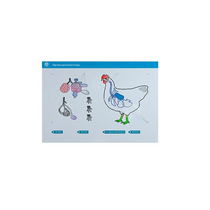 Стенд-планшет светодинамический "Изучение органов дыхания сельскохозяйственных животных" со сменными панелями - «globural.ru» - Междуреченск