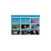 Стенд-планшет светодинамический "Изучение типических патологических процессов в организмах животных" - «globural.ru» - Междуреченск