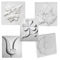 Комплект гипсовых моделей растений  - «globural.ru» - Междуреченск