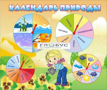 Стенд "Календарь природы" (вариант 1) - «globural.ru» - Междуреченск