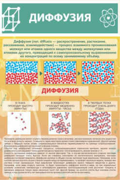 Стенд "Диффузия" - «globural.ru» - Междуреченск