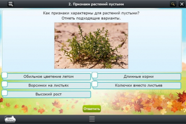 Интерактивные курсы. Окружающий мир 3 класс. Базовый - «globural.ru» - Междуреченск