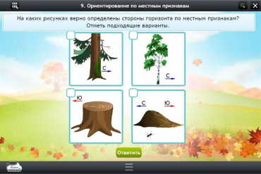 Интерактивные курсы. Окружающий мир 1 класс. Базовый - «globural.ru» - Междуреченск