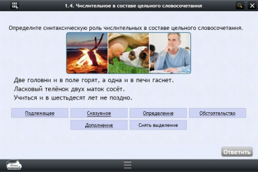 Интерактивные курсы. Русский язык 6 класс. Базовый - «globural.ru» - Междуреченск