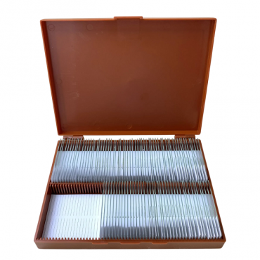 Комплект микропрепаратов по анатомии, ботанике, зоологии, общей биологии - «globural.ru» - Междуреченск