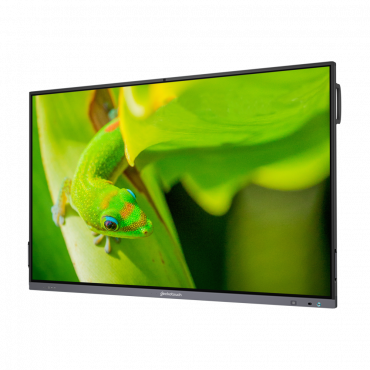 Интерактивный программно-аппаратный комплекс Geckotouch Interactive IP86GT-С  в комплекте с настенным креплением - «globural.ru» - Междуреченск