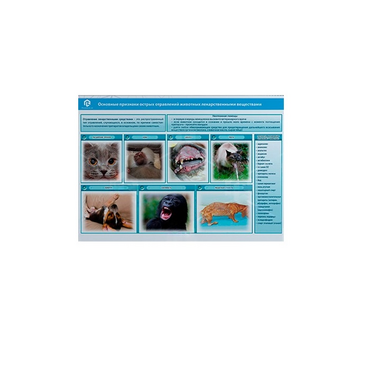 Стенд-планшет светодинамический «Острые отравления животных лекарственными препаратами» - «globural.ru» - Междуреченск