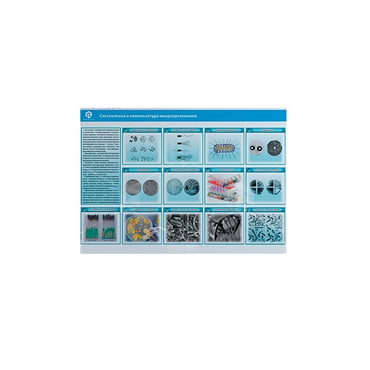Стенд-планшет светодинамический «Изучение систематики и номенклатуры микроорганизмов» - «globural.ru» - Междуреченск