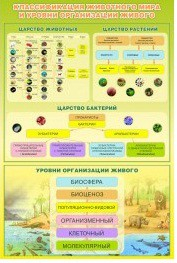 Стенд "Классификация животного мира" - «globural.ru» - Междуреченск